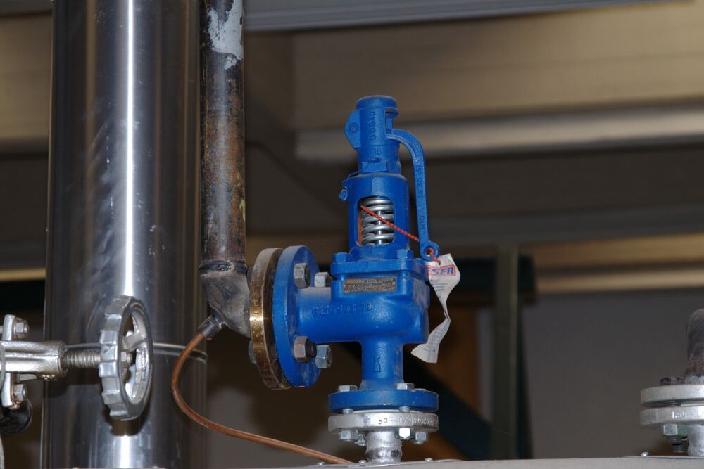 Boiler safety valve