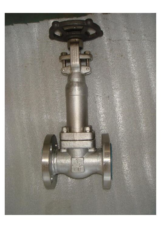 Globe Valve product image on a clean white background